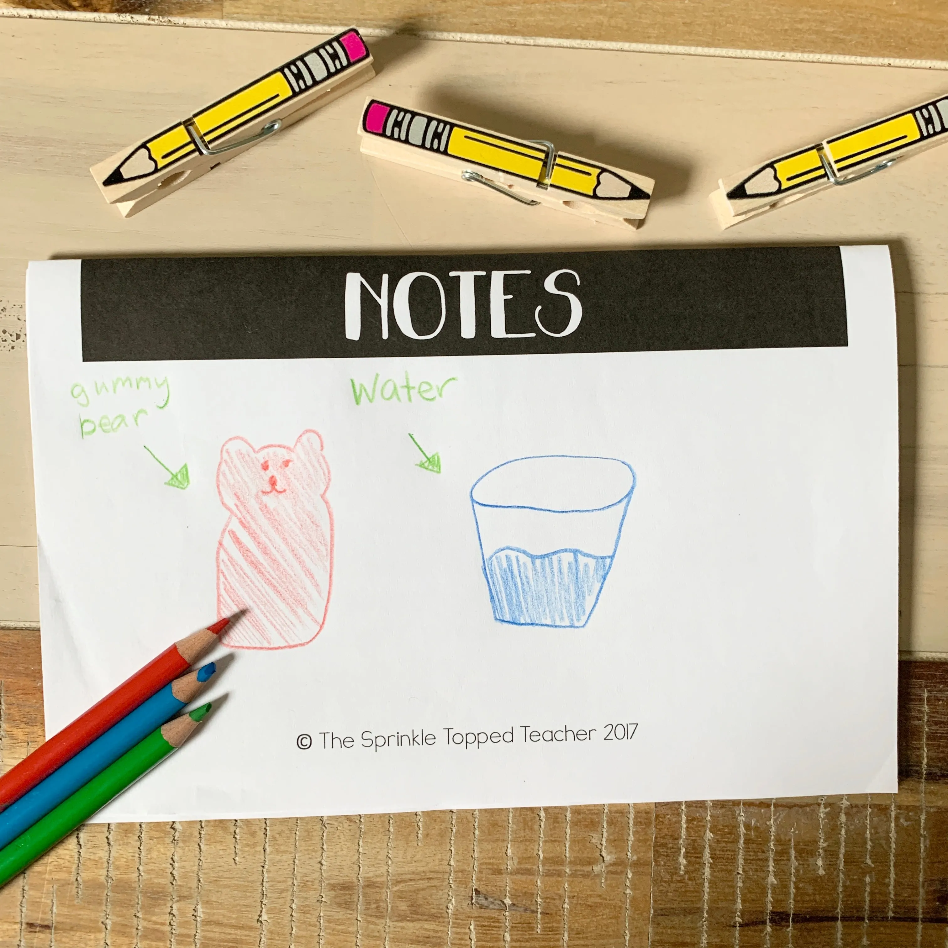 Grow Your Own Polar Bear Science | Gummy Bear Experiment | Digital Science