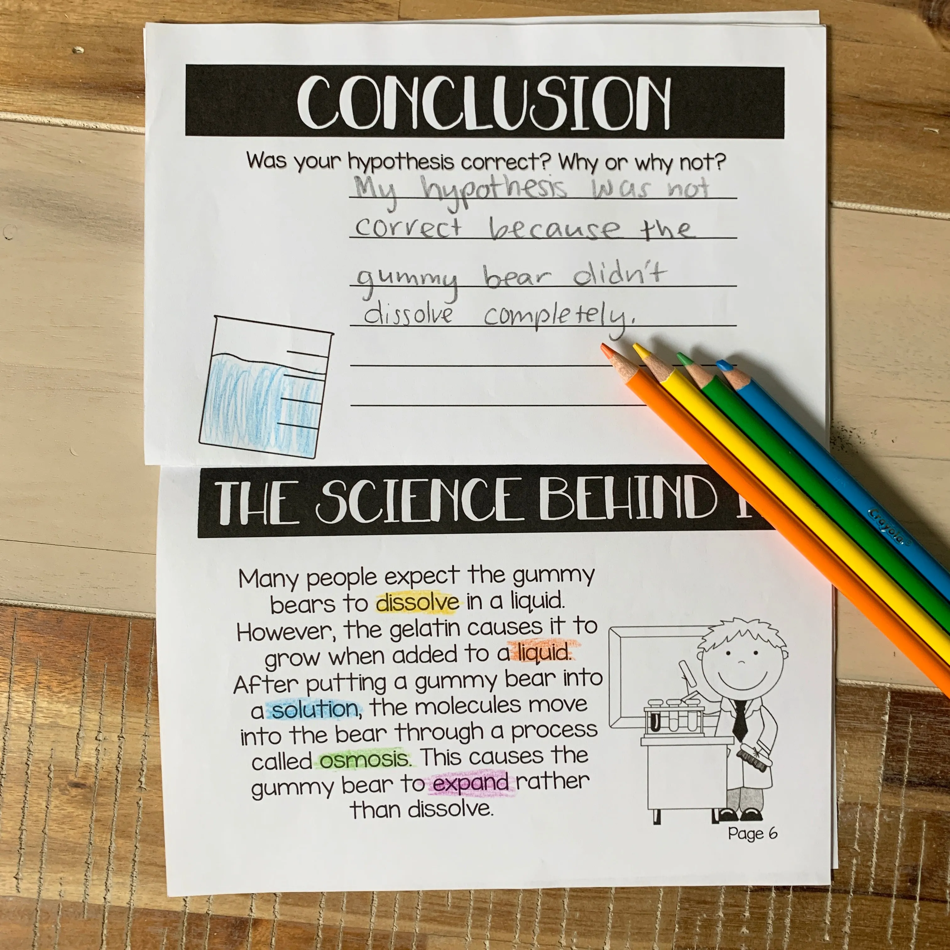 Grow Your Own Polar Bear Science | Gummy Bear Experiment | Digital Science