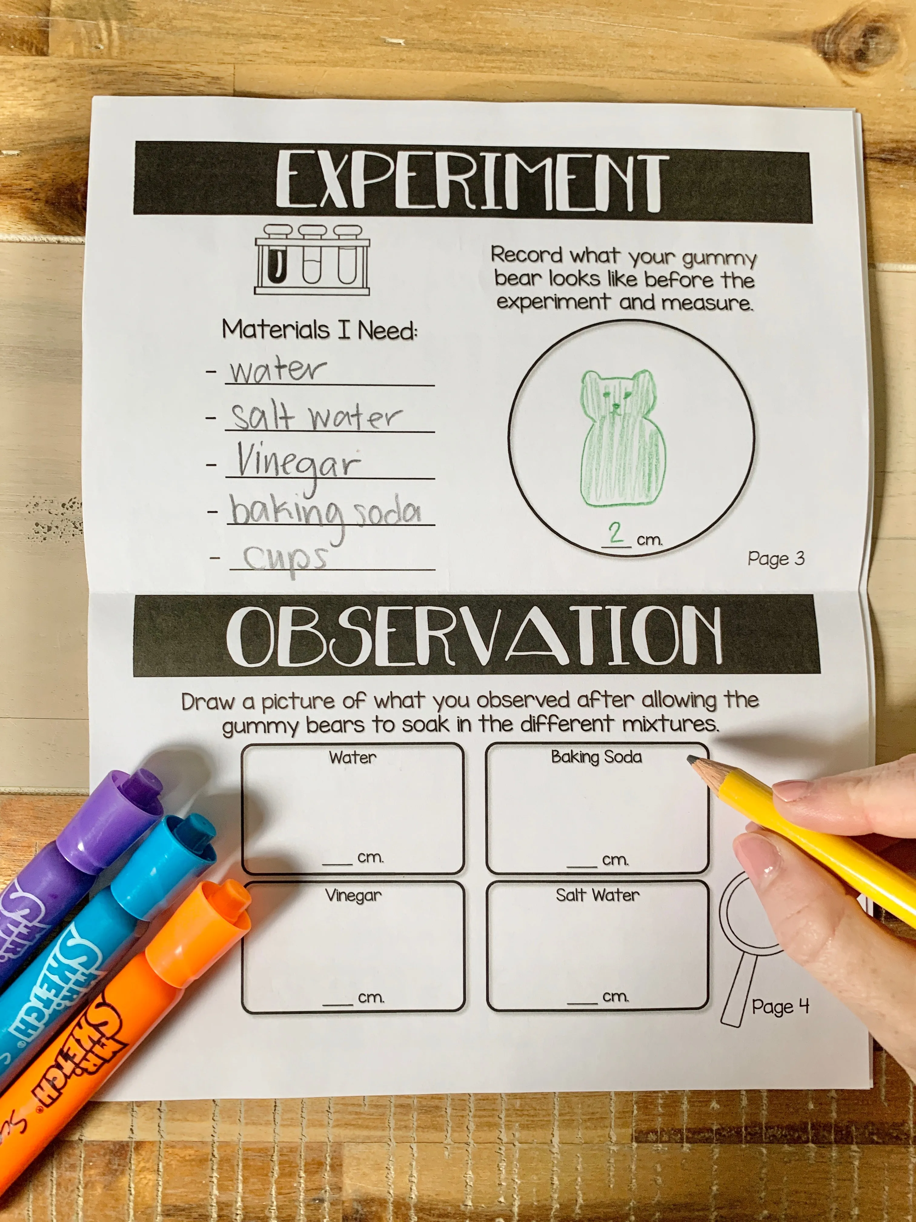Grow Your Own Polar Bear Science | Gummy Bear Experiment | Digital Science