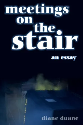 Meetings on the Stair: an essay
